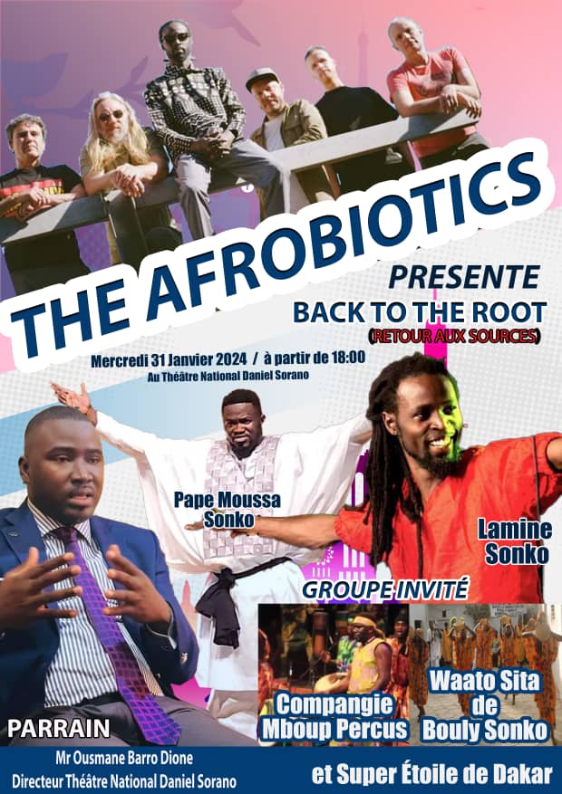 The_Afrobiotics_concert_senegal_culture